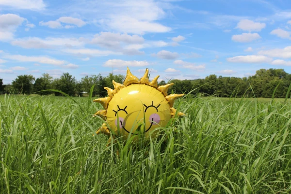 Poletje, sonce in visoke temperature